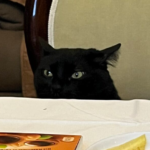 Screenshot2024 05 17152337